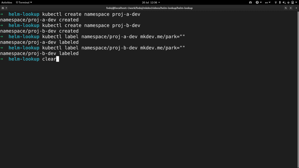 A computer terminal screen displaying command-line interface interactions, showing executed commands related to Kubernetes namespaces and labeling them, with the prompt 'helm-lookup' visible.