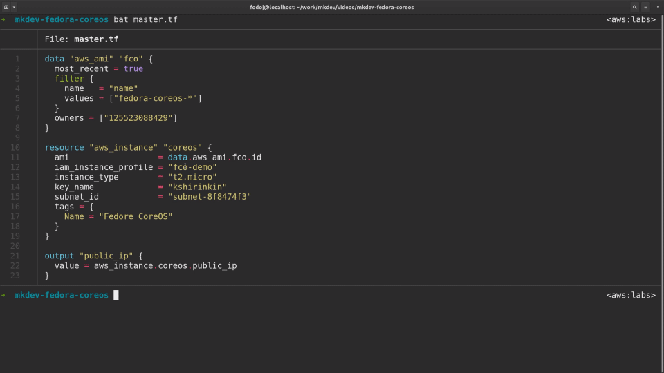 Screenshot of a computer terminal displaying code for provisioning an AWS instance with Terraform, specifying Fedora CoreOS as the ami and a t2.micro instance type.