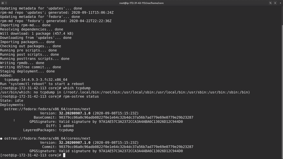 A screenshot of a computer terminal displaying a successful update process and status check using Linux command-line interface.