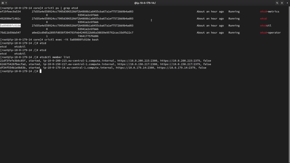 Screenshot of a computer terminal with a command line interface showing the execution of commands related to etcd, a distributed key-value store for shared configuration and service discovery.