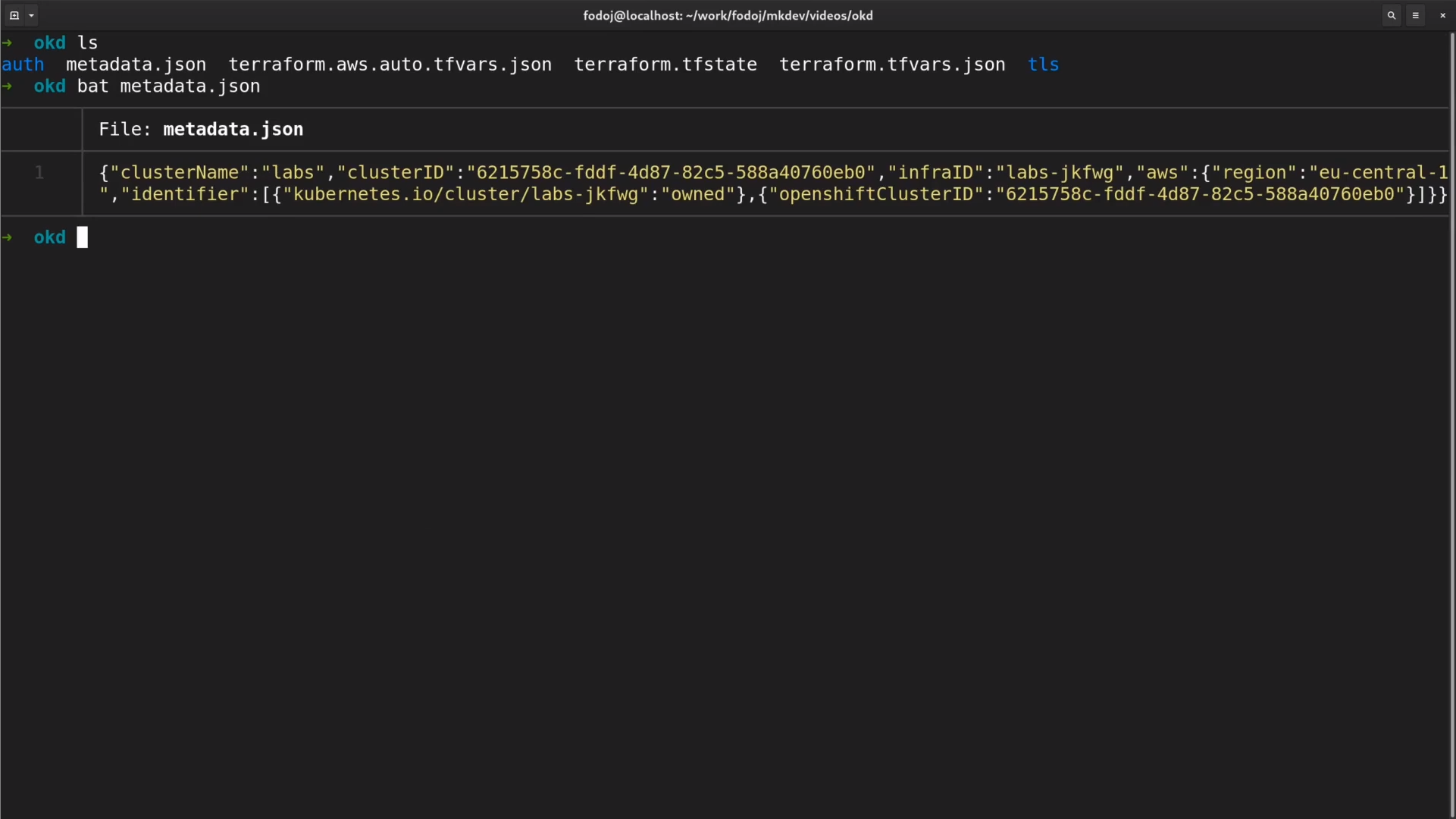 A screenshot of a terminal window displaying commands and a file called 'metadata.json' which contains JSON formatted data related to Kubernetes/OpenShift cluster identifiers and Amazon Web Services (AWS) region information. The terminal prompt is "okd".