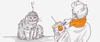 Illustration of a person in a sweater and scarf using a remote control with an antenna to interact with a grumpy-looking cat wearing a small helmet with a similar antenna.