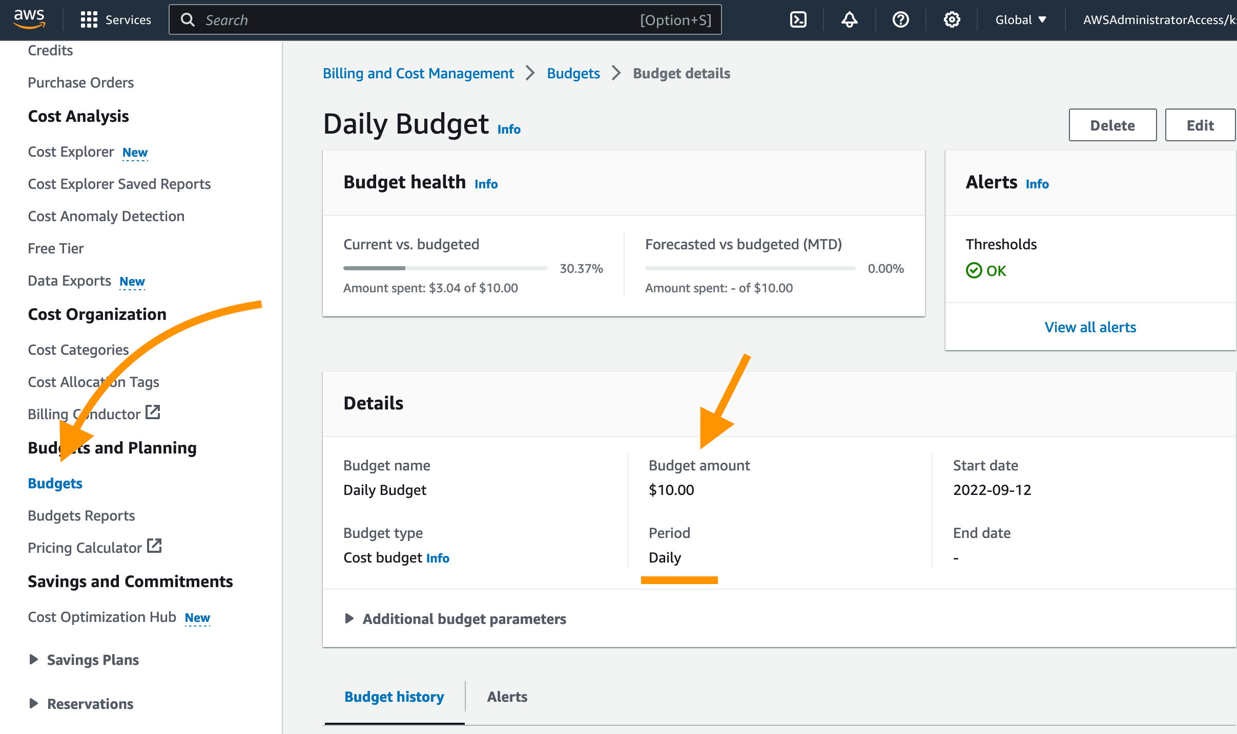 Screenshot of the AWS Management Console showing the Budgets section within Billing and Cost Management, focusing on the details of a 'Daily Budget' with spending data highlighted by arrows.