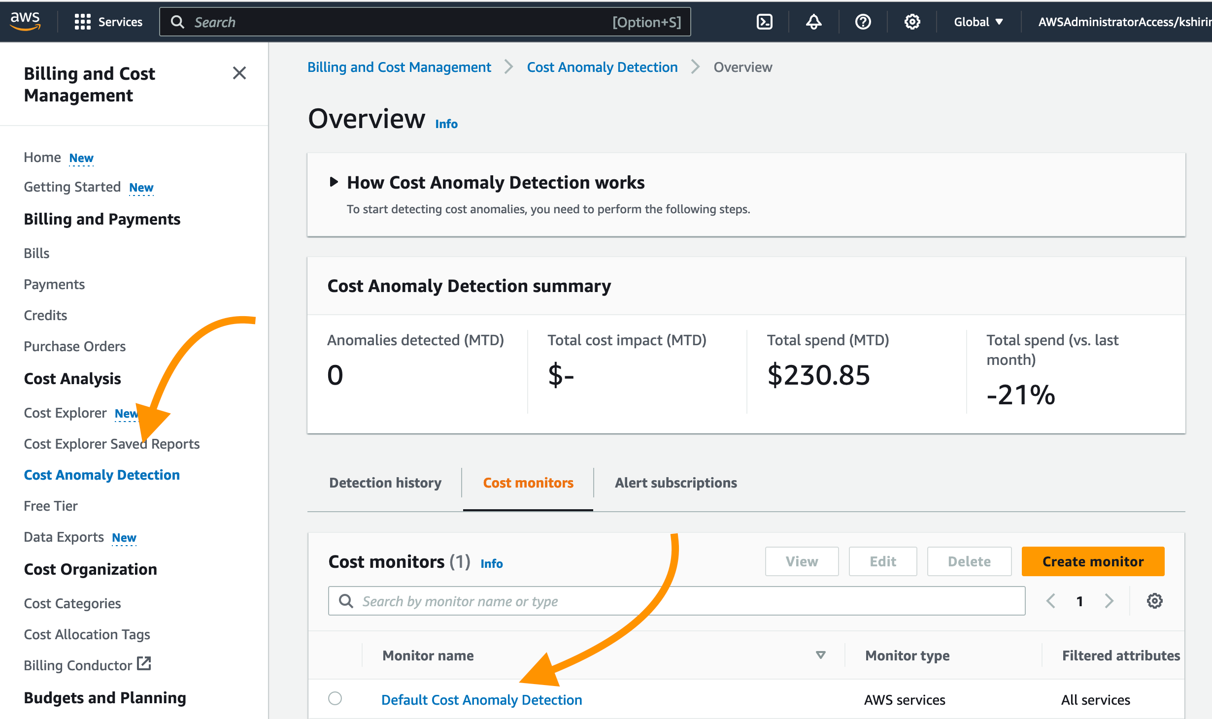 Screenshot of the AWS Billing and Cost Management dashboard highlighting the 'Cost Anomaly Detection' feature with arrows pointing to its location in the interface.