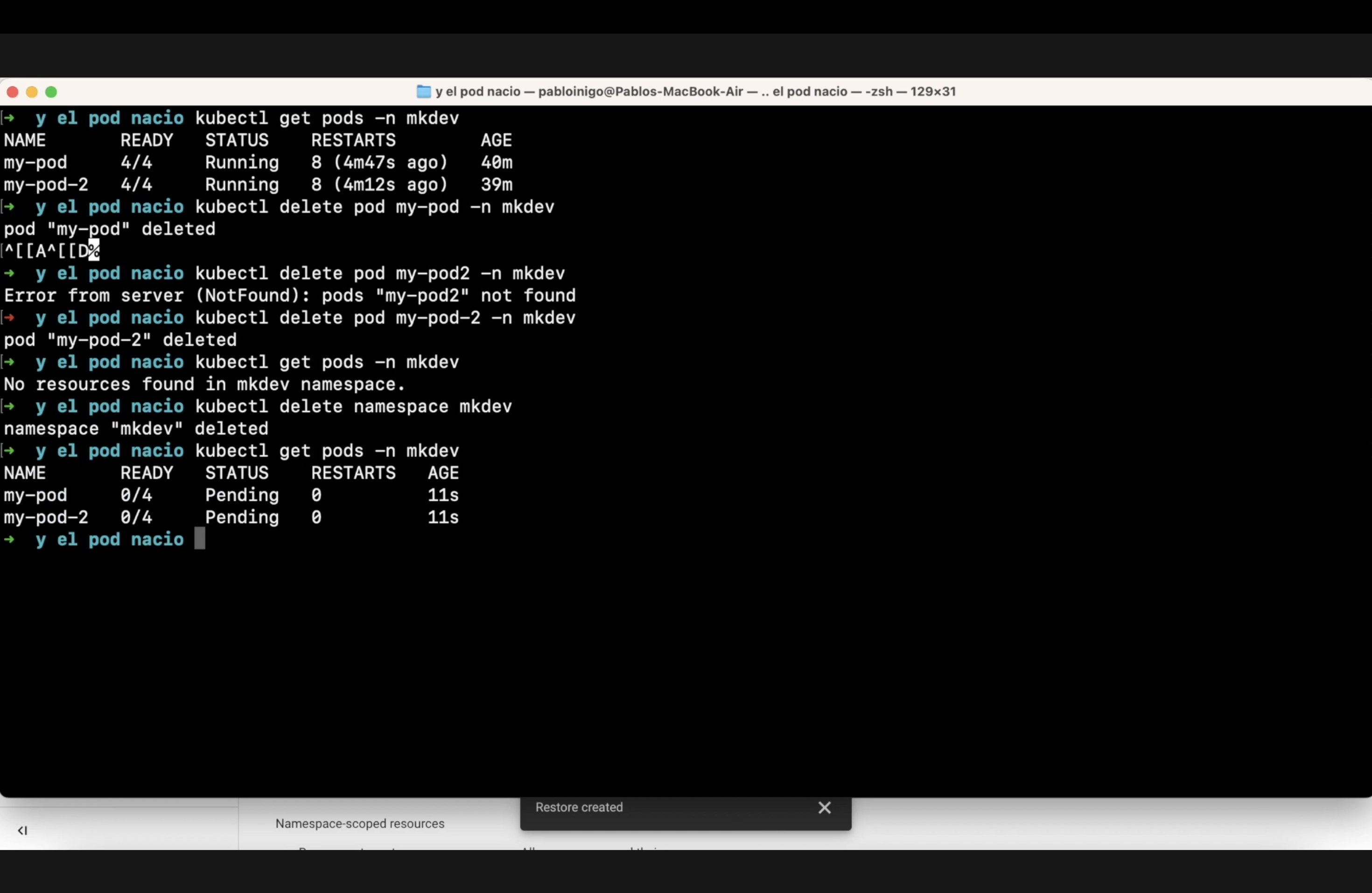 A computer terminal with text showing command-line instructions related to Kubernetes operations, including getting pods, deleting pods, and deleting a namespace.