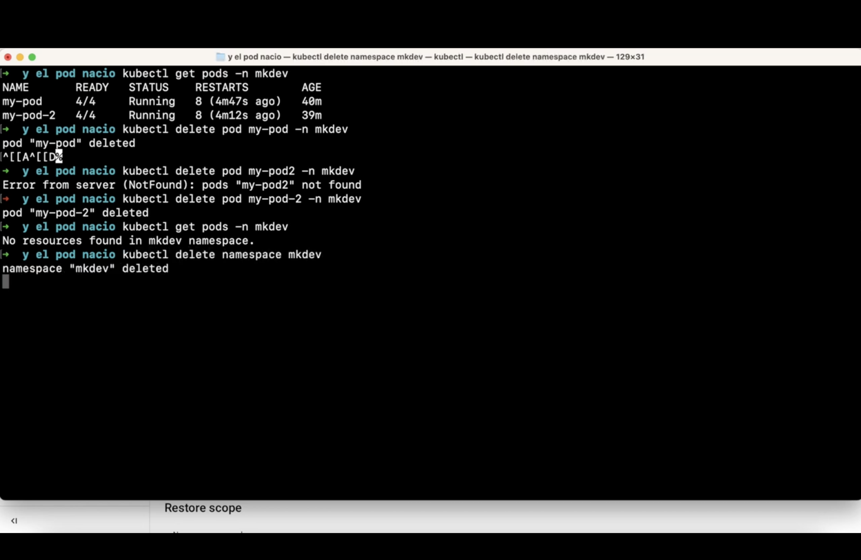 Screenshot of a computer terminal with command line interface showing Kubernetes commands for managing pods and deleting a namespace.