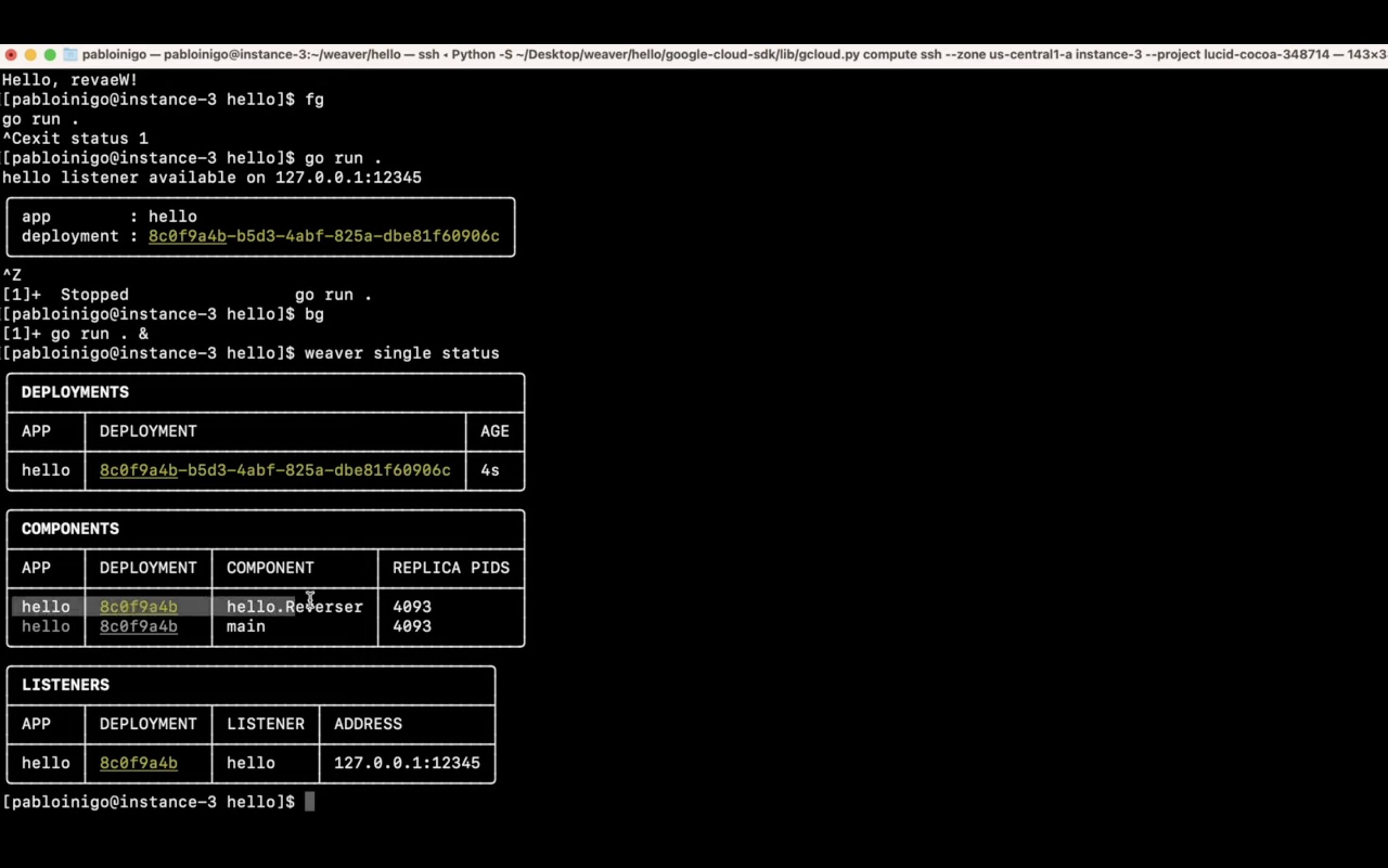 Screenshot of a computer terminal with text output showing command line operations related to software deployment, including deployment status, components, and listeners with a localhost IP address.