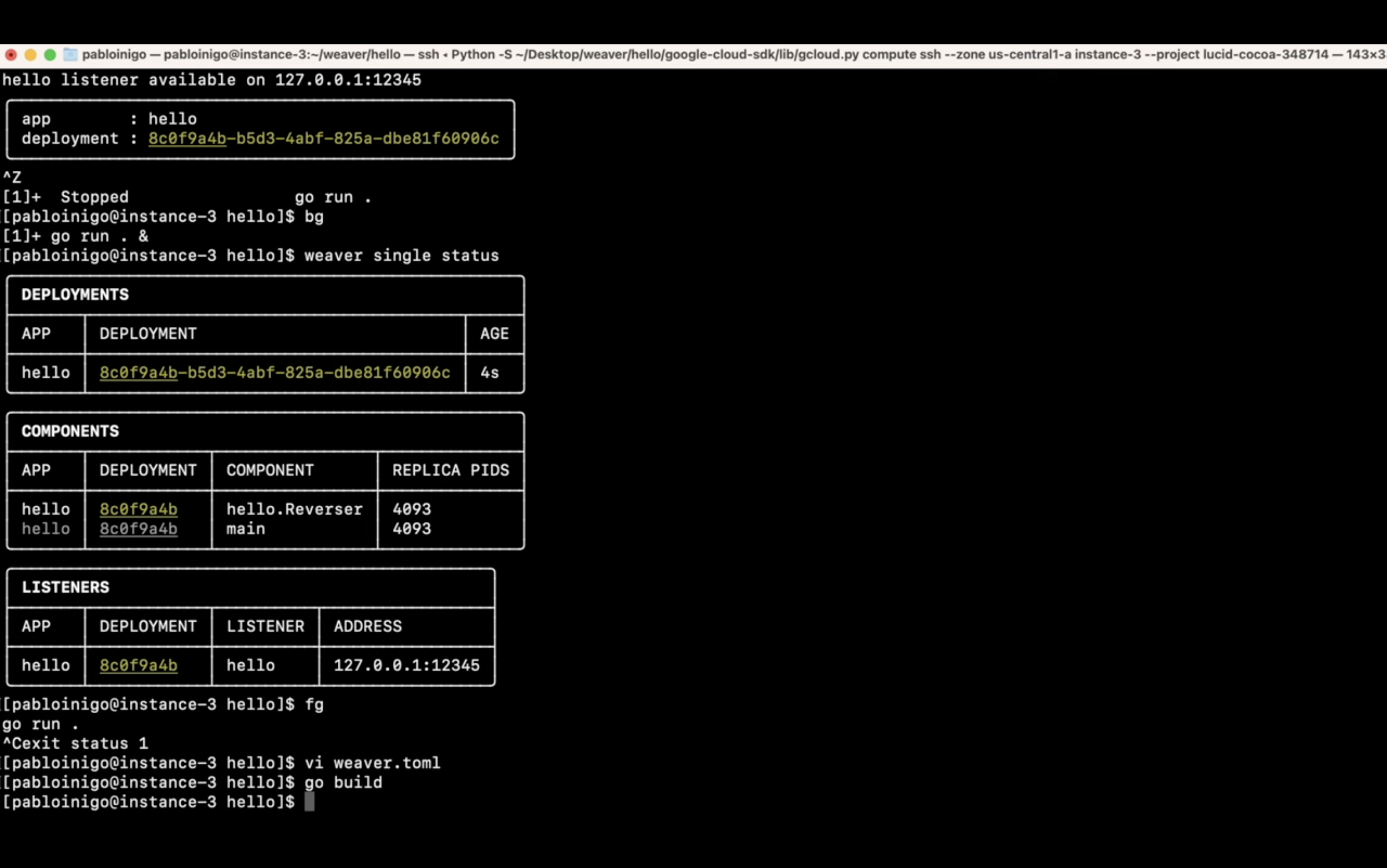 Screenshot of a terminal with command-line text showing deployment status and components of an application, including listener address and process IDs.