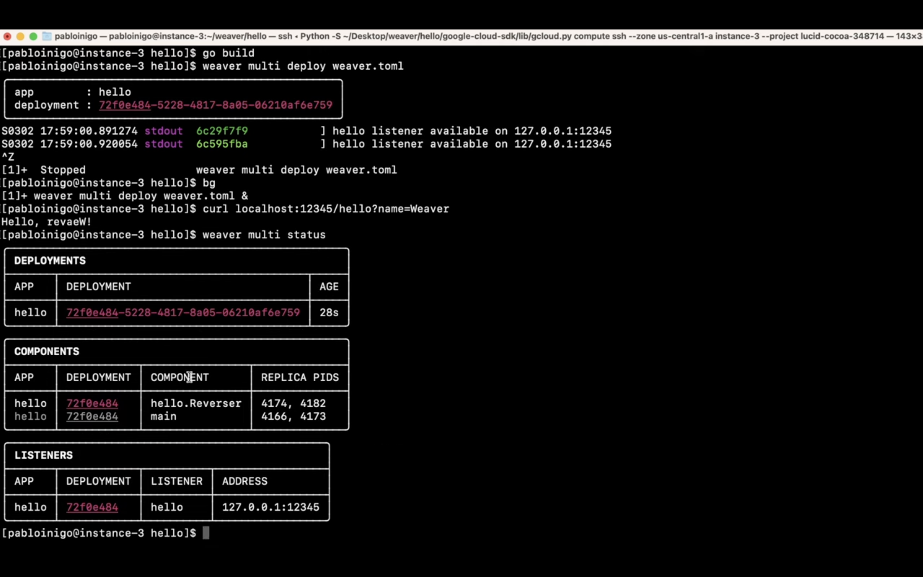 A terminal screen with text indicating the execution of commands related to building and deploying a software application, with output showing deployment details, components, and listeners.