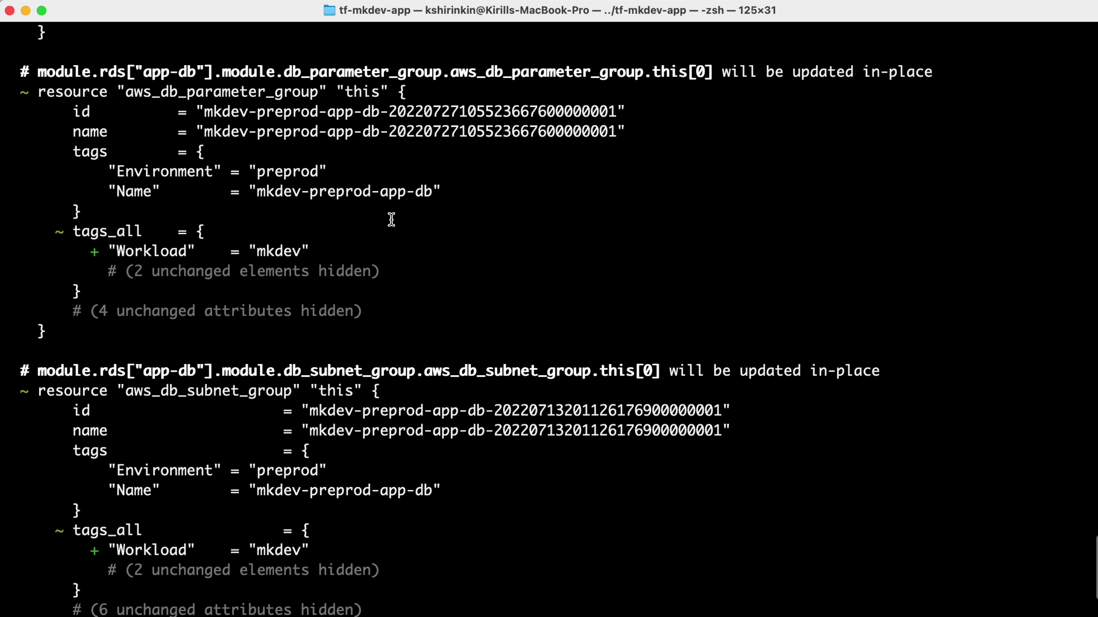 A screenshot of a computer terminal displaying code, specifically Terraform configurations related to AWS database parameters and subnet groups with highlighted changes.