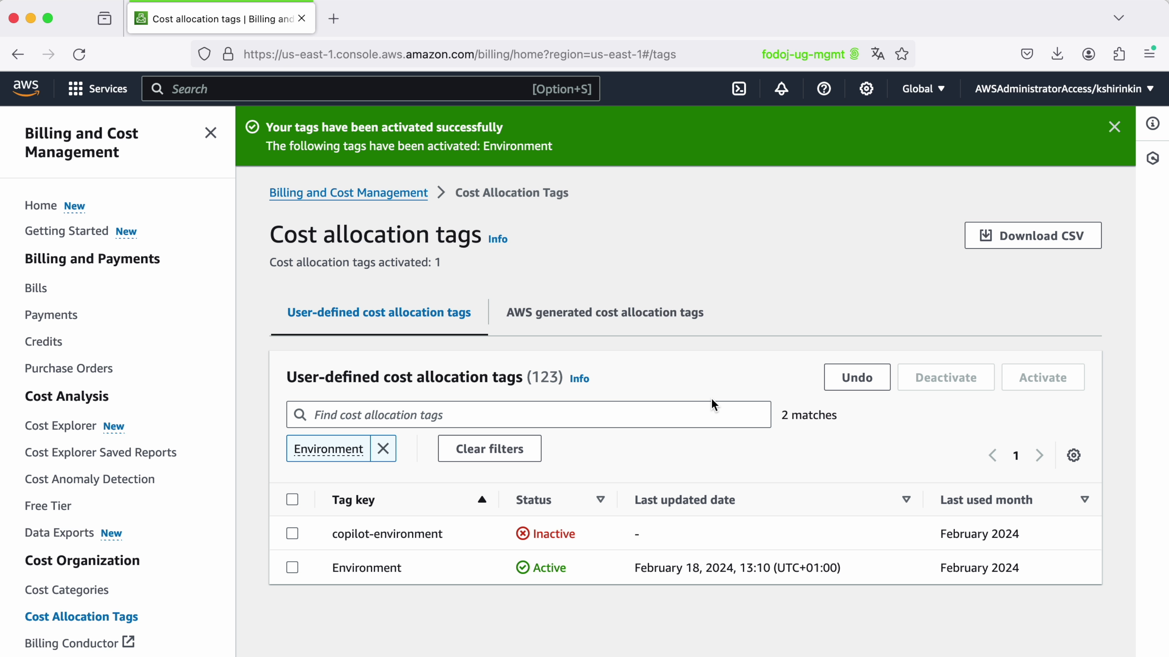 Screenshot of AWS Management Console displaying 'Billing and Cost Management' with a notification that 'Environment' tags have been activated and showing the 'Cost Allocation Tags' section.