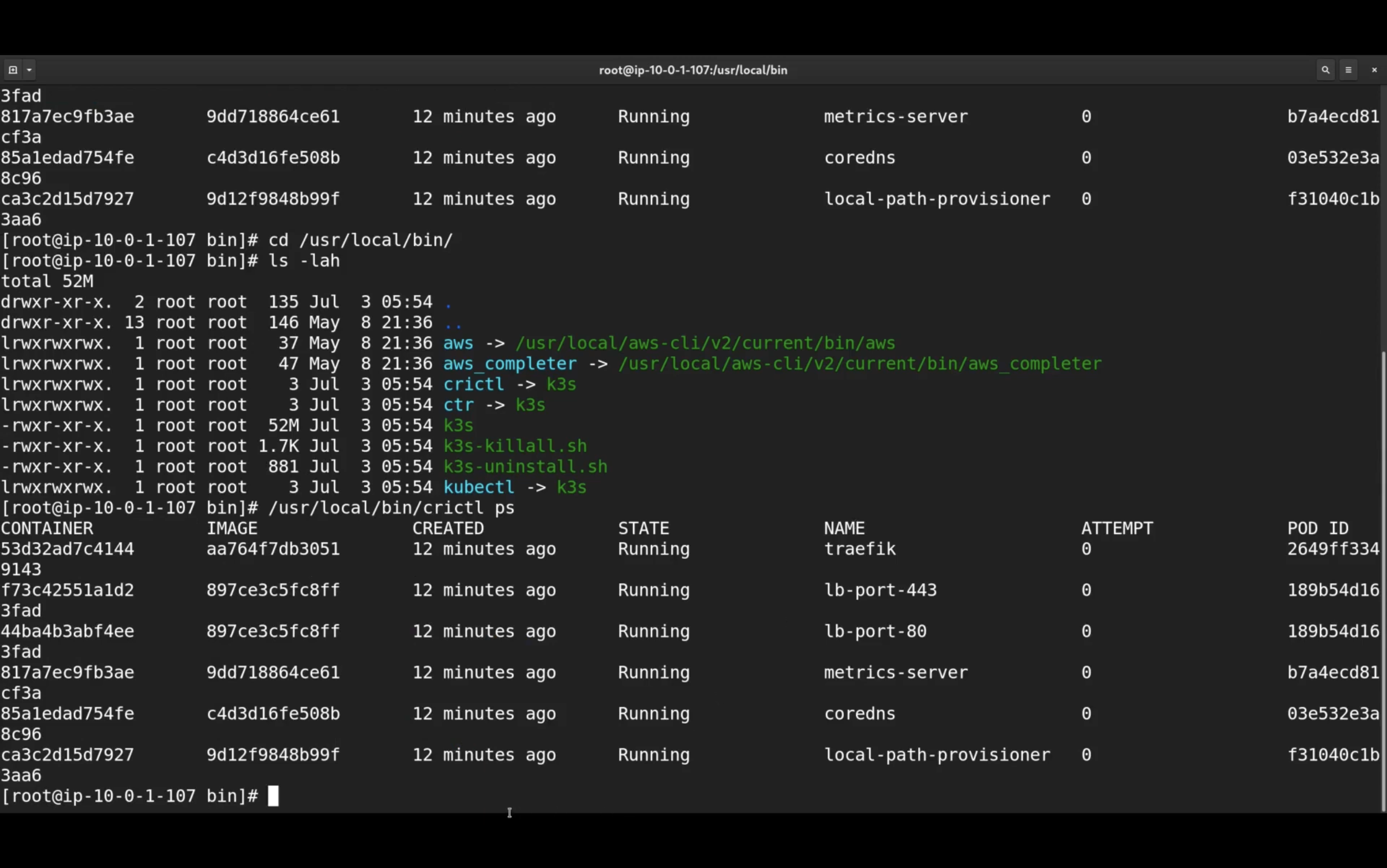 Terminal window displaying Docker container information and file directory listings. The top section shows running containers with details like image ID and name. Below, the directory listing includes symbolic links and scripts in /usr/local/bin.