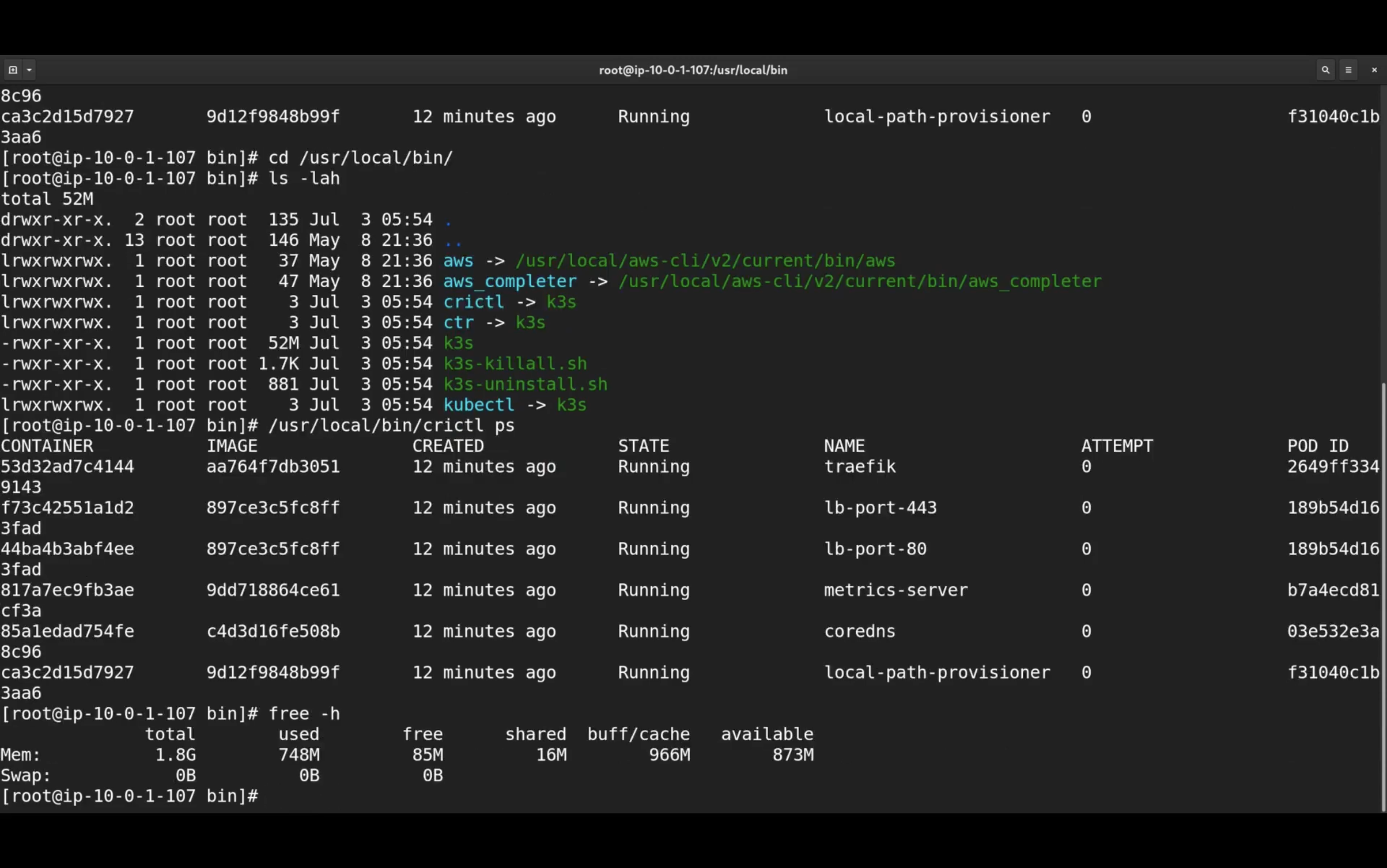 Terminal screenshot showing file list in /usr/local/bin, including symlinks and scripts like aws and k3s. Docker containers are displayed with IDs, images, states, and names. Memory usage is also shown, with 1.8G total and 748M used.