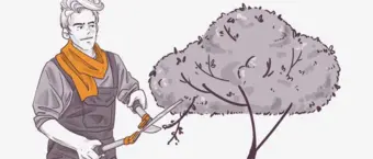 Illustration of a person pruning a tree with shears, wearing casual work attire and a scarf, with a focused expression.