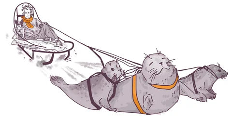 Illustration of a person in winter attire sitting on a sled pulled by three seals wearing harnesses.