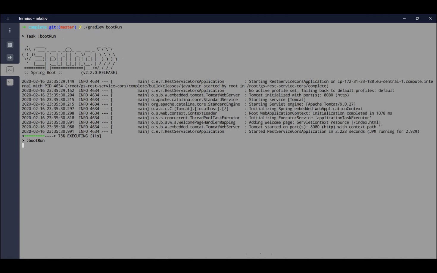 Terminal window showing a Spring Boot application startup log. The log includes details about the application version, server startup, and execution progress, with timestamps and INFO messages. It shows "Spring Boot v2.2.0 RELEASE" with Tomcat starting at port 8080.