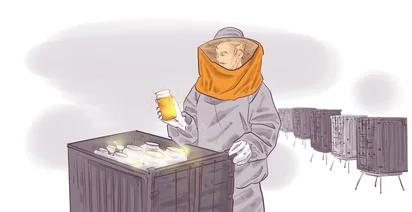 Illustration of a person in protective clothing, including a hood and gloves, holding a glowing jar of liquid over an open beehive. Several beehives are visible in the background.