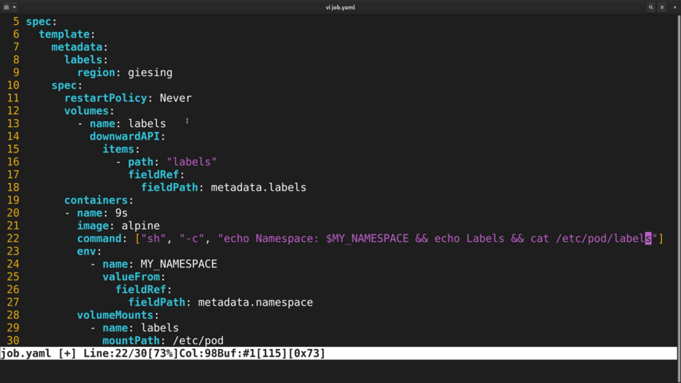 A screenshot of a computer screen displaying a YAML file with configuration code, likely for a software deployment or service.