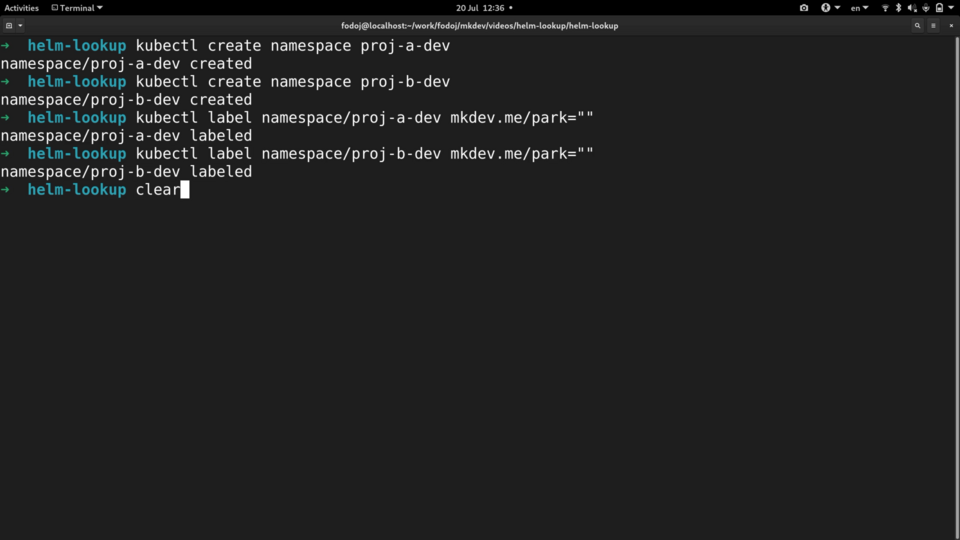 A computer terminal screen displaying command-line interface interactions, showing executed commands related to Kubernetes namespaces and labeling them, with the prompt 'helm-lookup' visible.