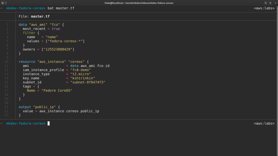 Screenshot of a computer terminal displaying code for provisioning an AWS instance with Terraform, specifying Fedora CoreOS as the ami and a t2.micro instance type.