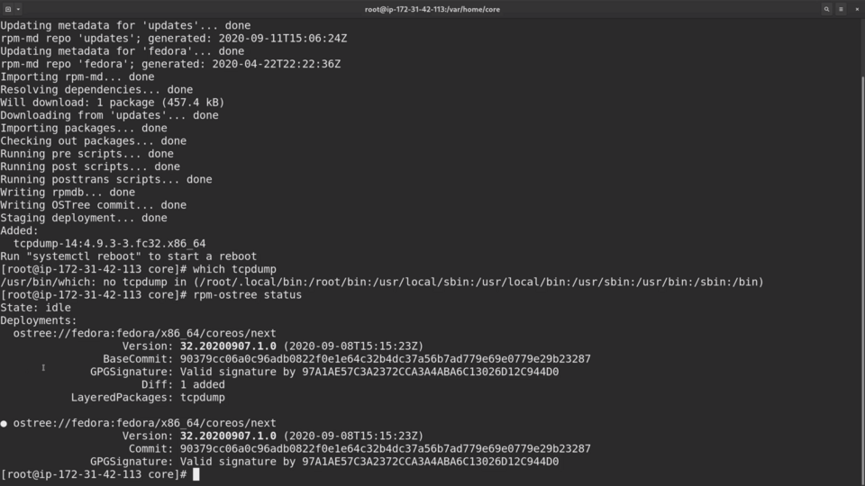 A screenshot of a computer terminal displaying a successful update process and status check using Linux command-line interface.