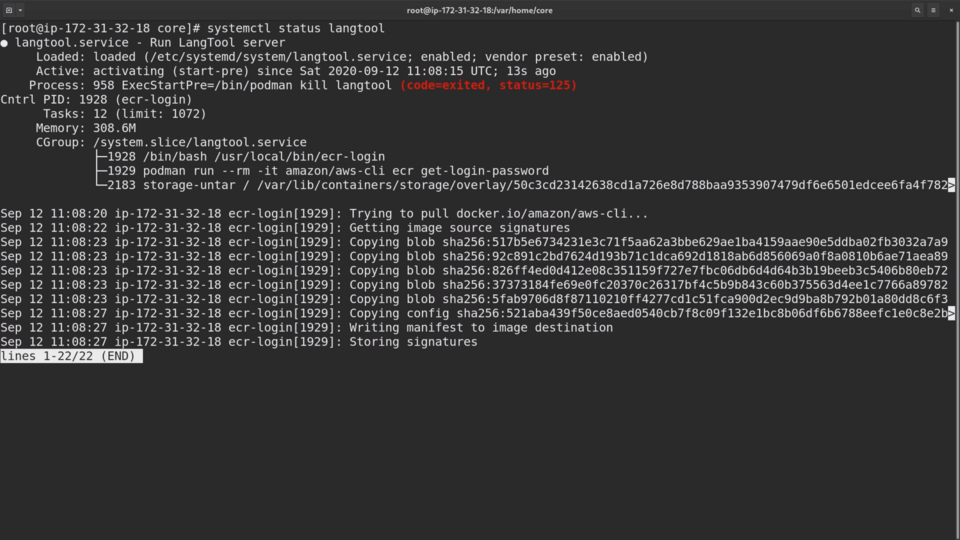 A screenshot of a computer terminal displaying the status of a service called 'langtool' with logs of an attempt to pull a docker image from a repository, including copying blob and signature steps.