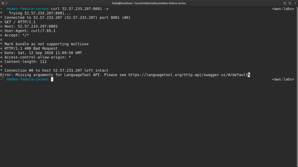 A terminal screen with text showing the output of a curl command that received an HTTP 400 Bad Request error with a message about missing arguments for LanguageTool API.