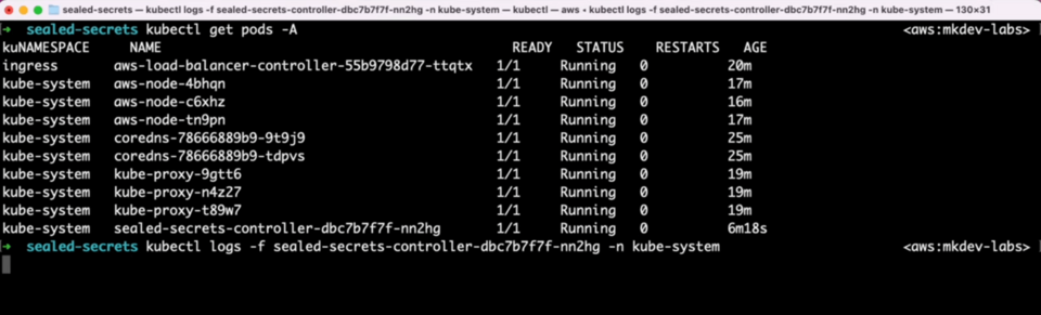 Screenshot of a terminal window showing Kubernetes commands and the output of 'kubectl get pods' with pods in the 'Running' status, along with a partial 'kubectl logs' command for a specific pod.